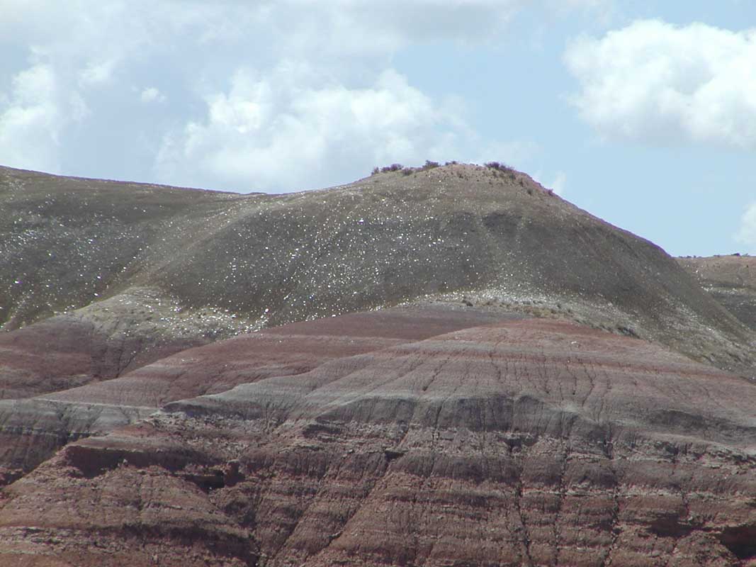 115 Auca Mahuevo P1010080