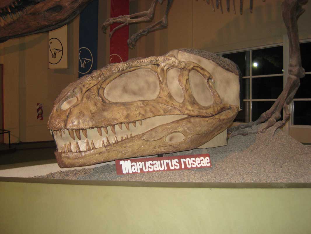 139 Museo Carmen Funes IMG_0100