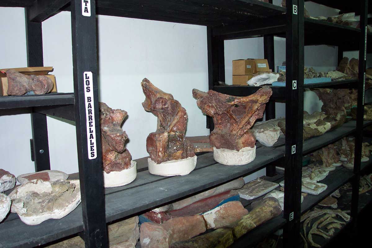 140 Museo Carmen Funes DCP_2161