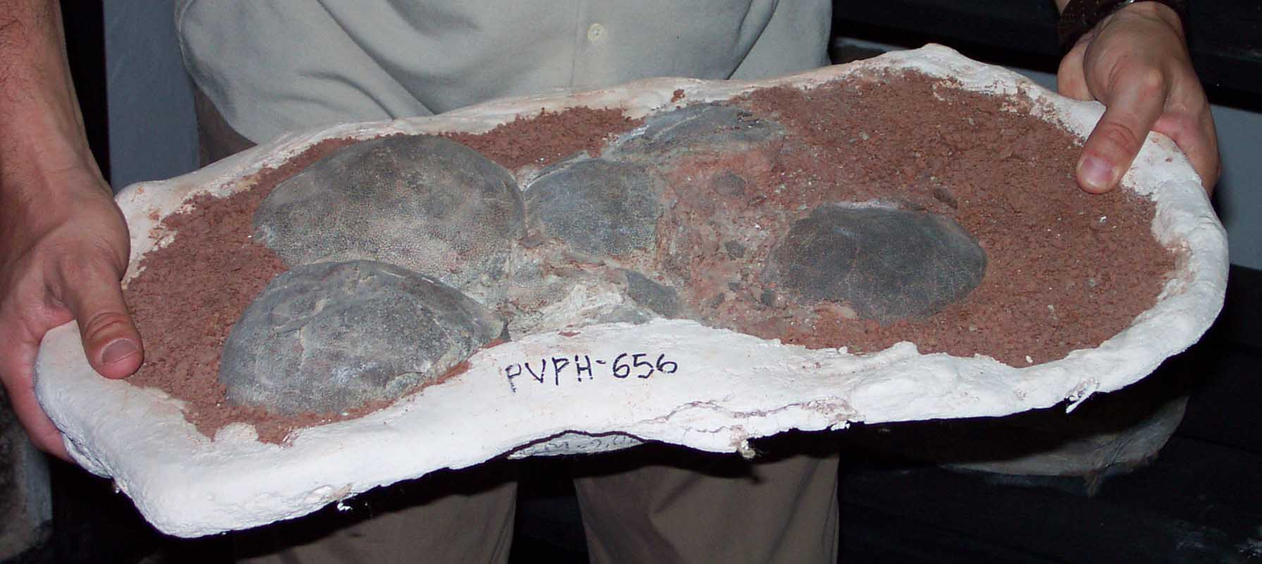 141 Museo Carmen Funes DCP_2170