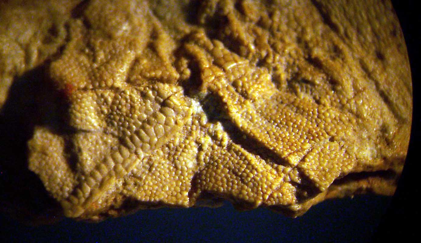 143 Museo Carmen Funes DCP_2168