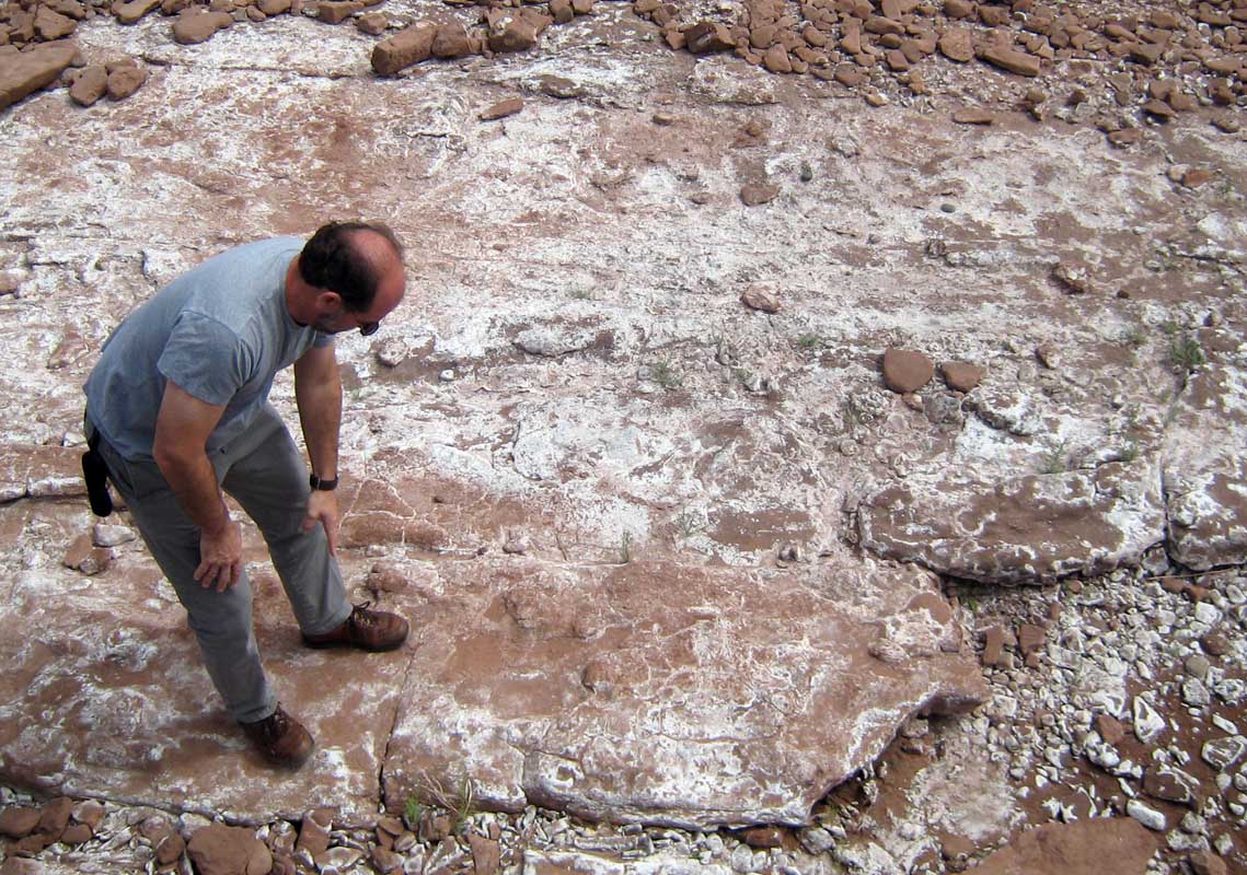 158 El Chocon IMG_0114