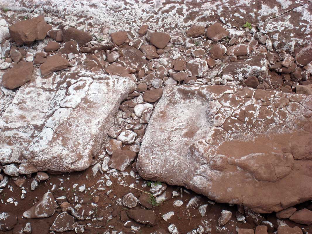 159 El Chocon IMG_0118