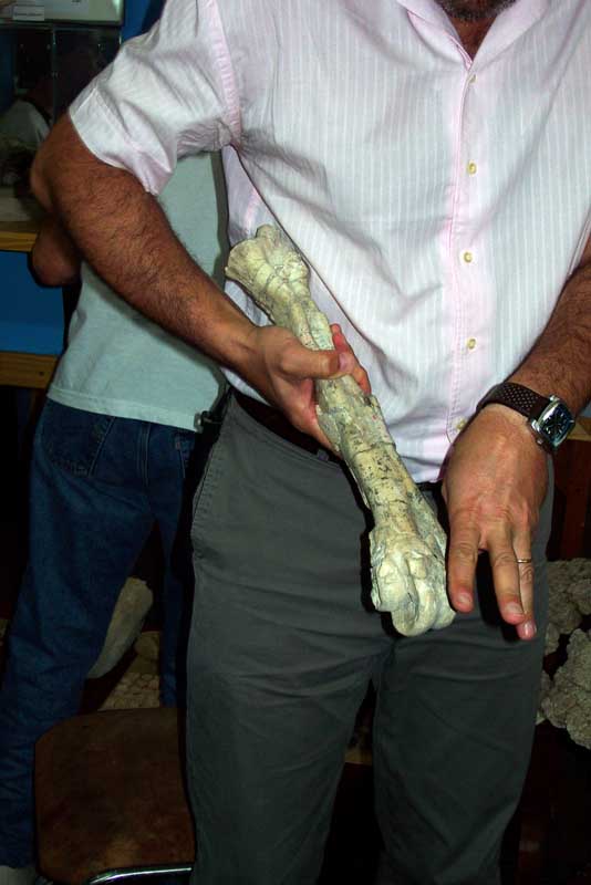 172 Bariloche Museo DCP_2195