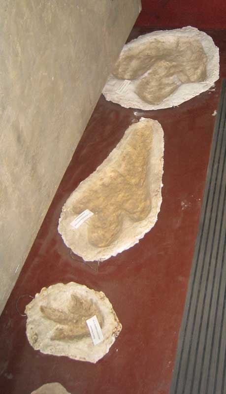 176 Bariloche Museo IMG_0148a