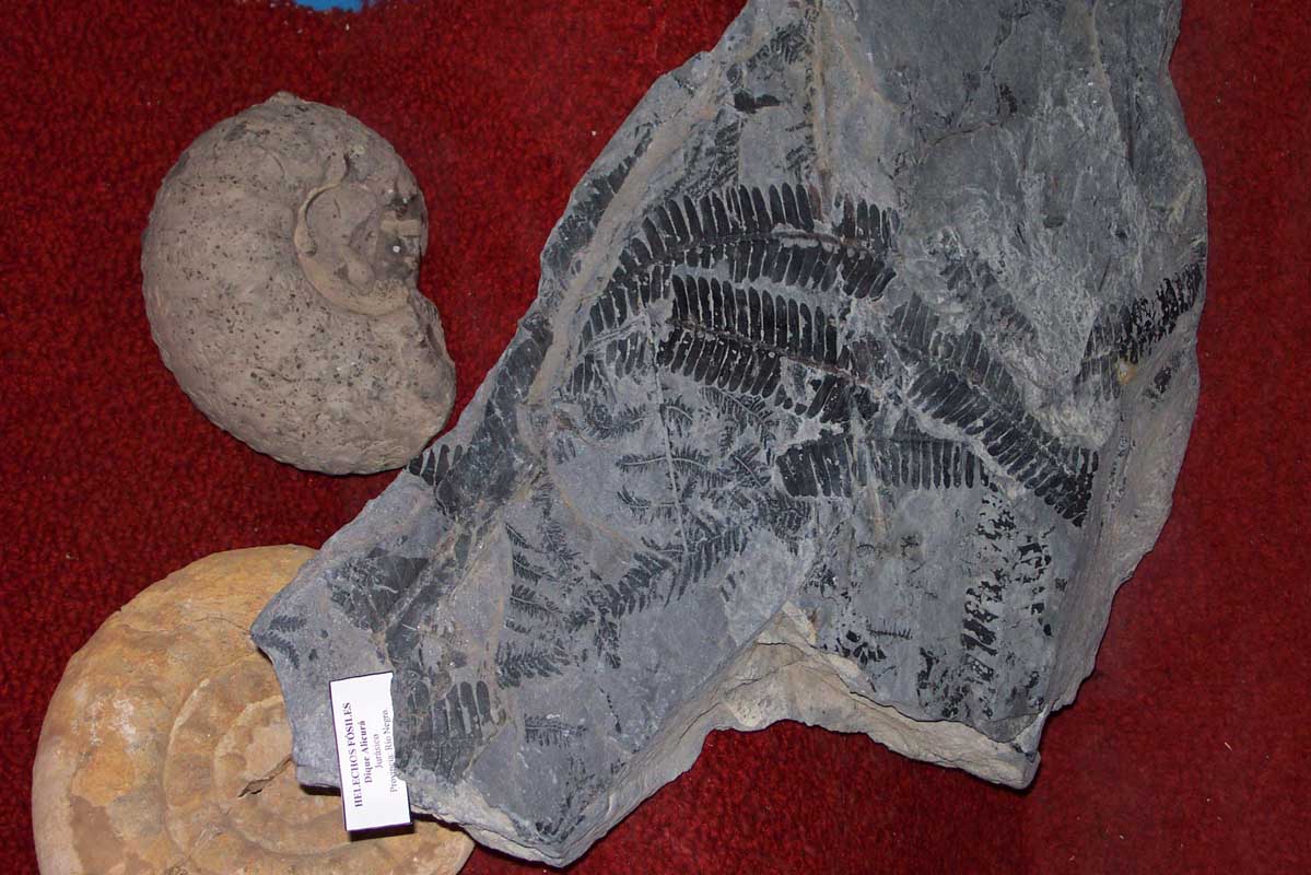 177 Bariloche Museo DCP_2202