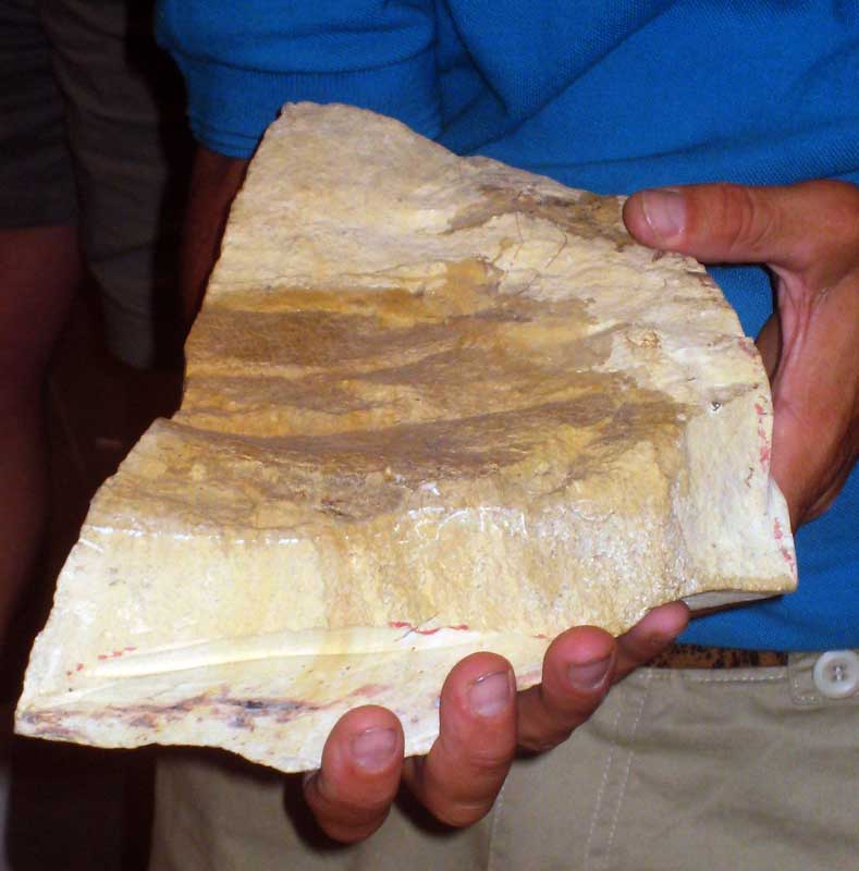 219 Museo Egidio Feruglio IMG_0257