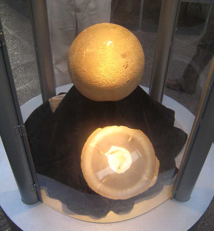 220 Museo Egidio Feruglio IMG_0264