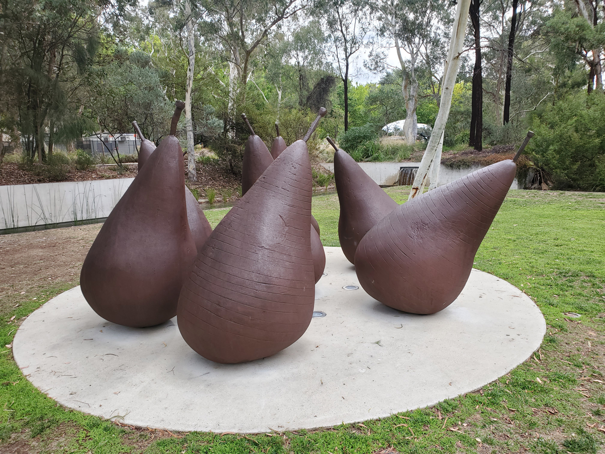 003 Big Pears