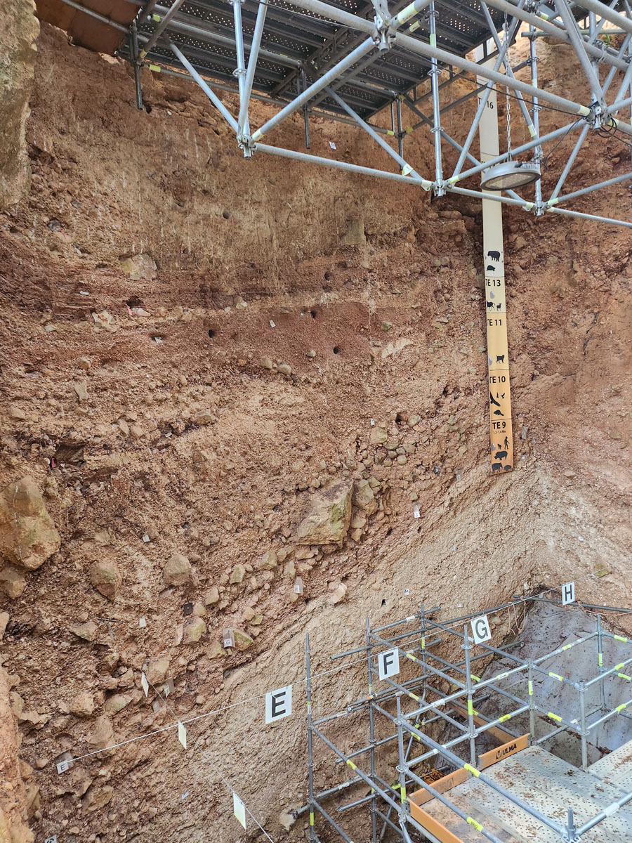 060 Atapuerca