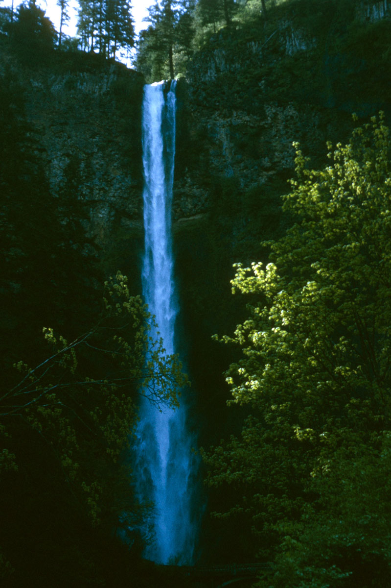 11 Multmomak Falls OR