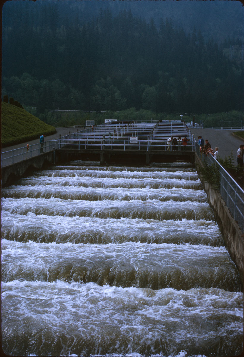13 Bonneulle Fish Ladder