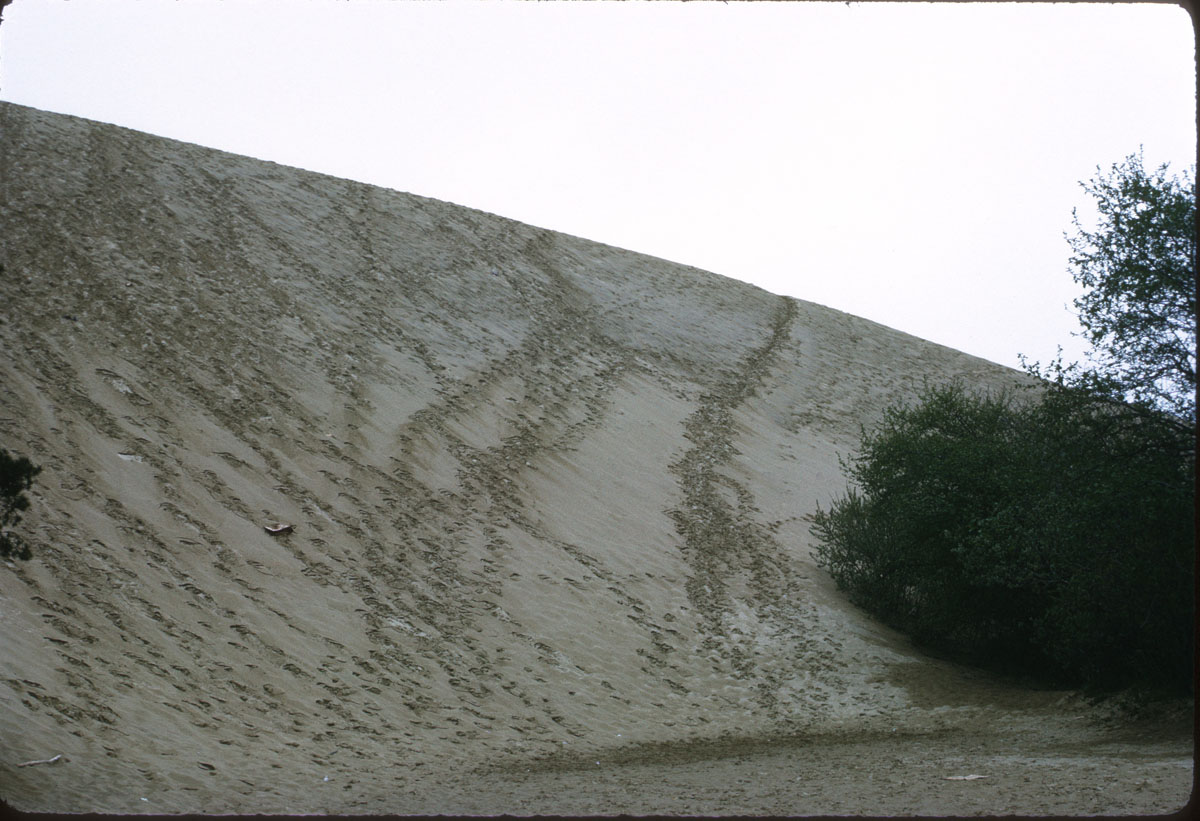 5 Josse Honeyman St Pk