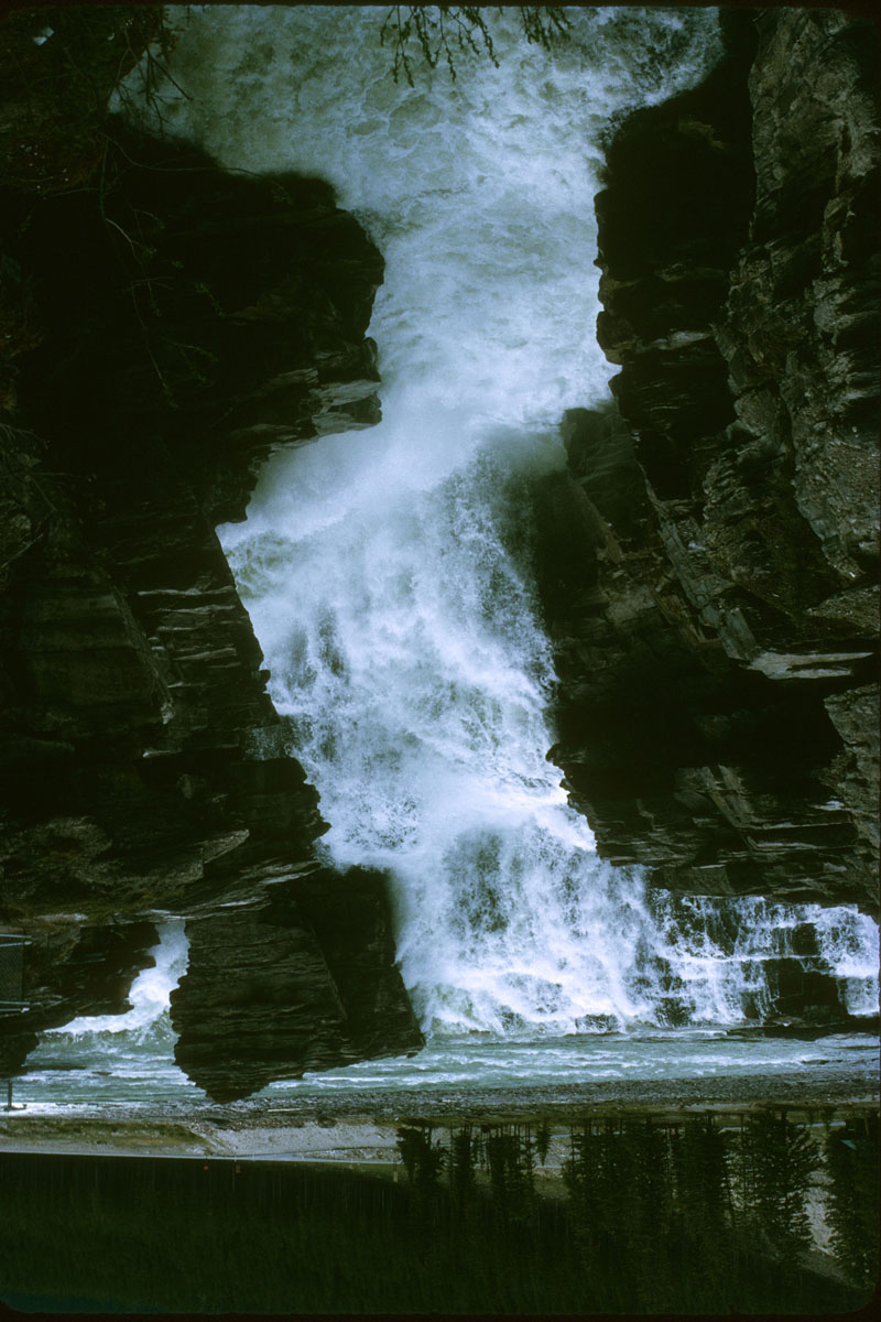 50 Athabasa Falls Jasper NP