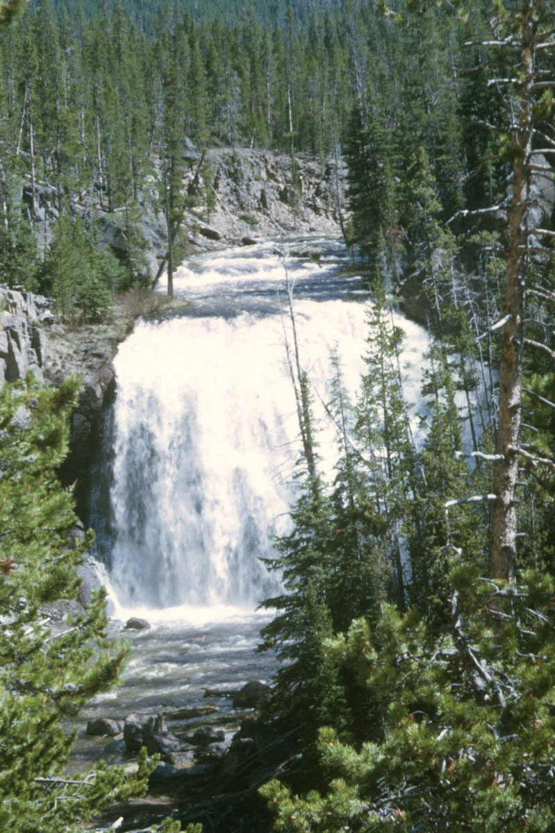 61 Gibbon Falls Yellowstone