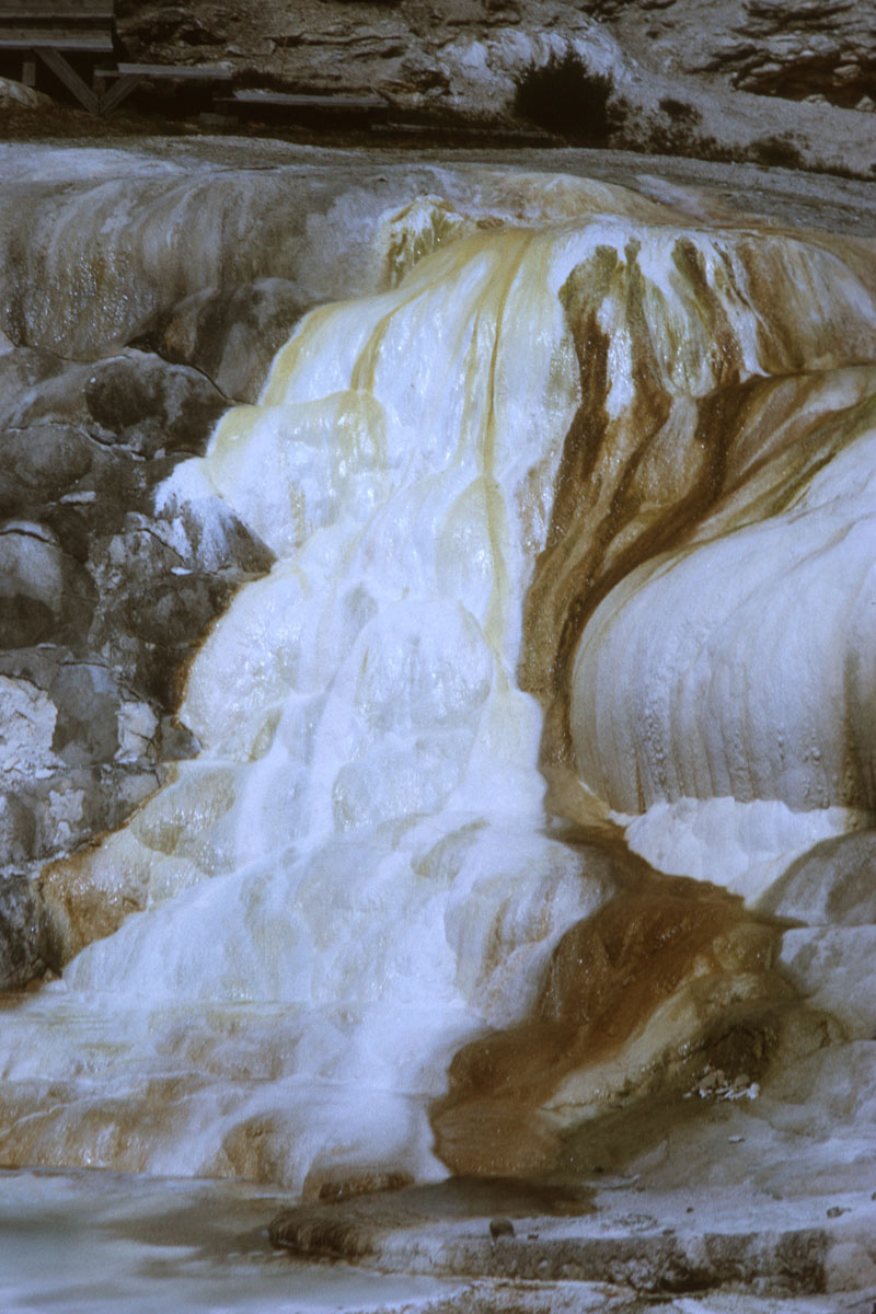 67 Cupid Springs Mammoth Yellowstone