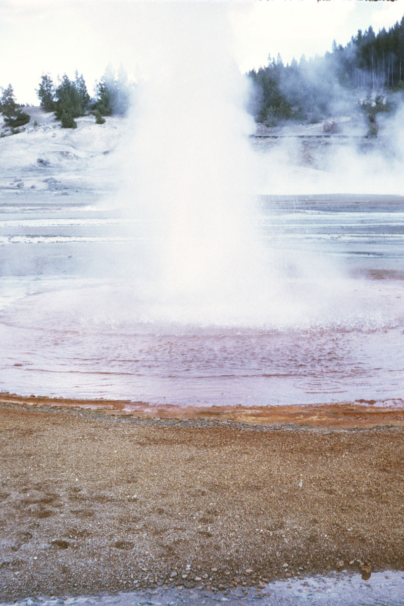 69 Little Whirlemigag Geyser Norris Basin Yellowstone
