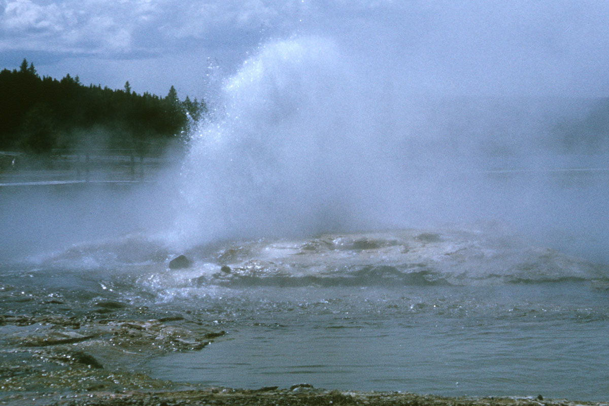 75 Steady Geyser Yellowstone