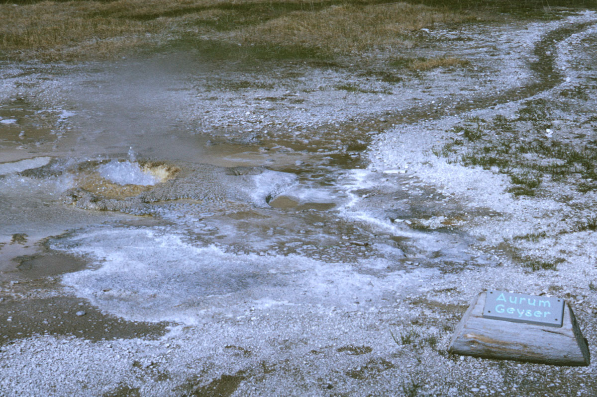 81 Aurum Geyser Yellowstone