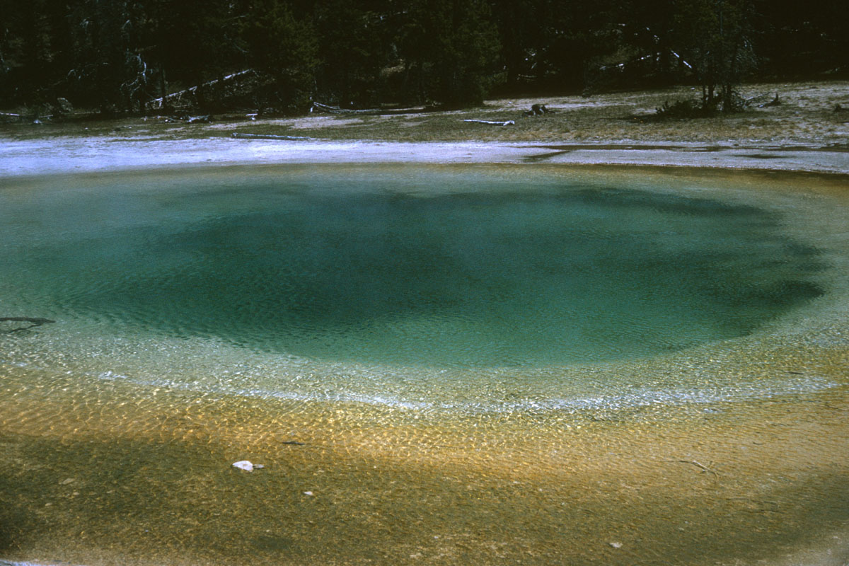 82 Beauty Pool Yellowstone