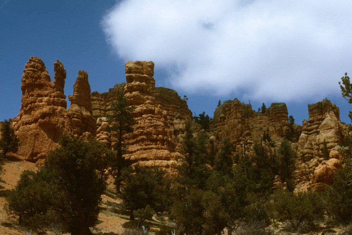 87 Red Canyon Dixie Nat For