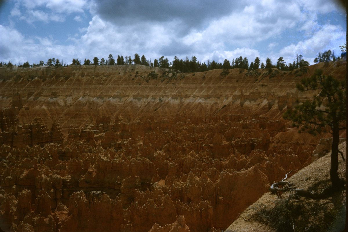 88 Sunset Pt Bryce NP