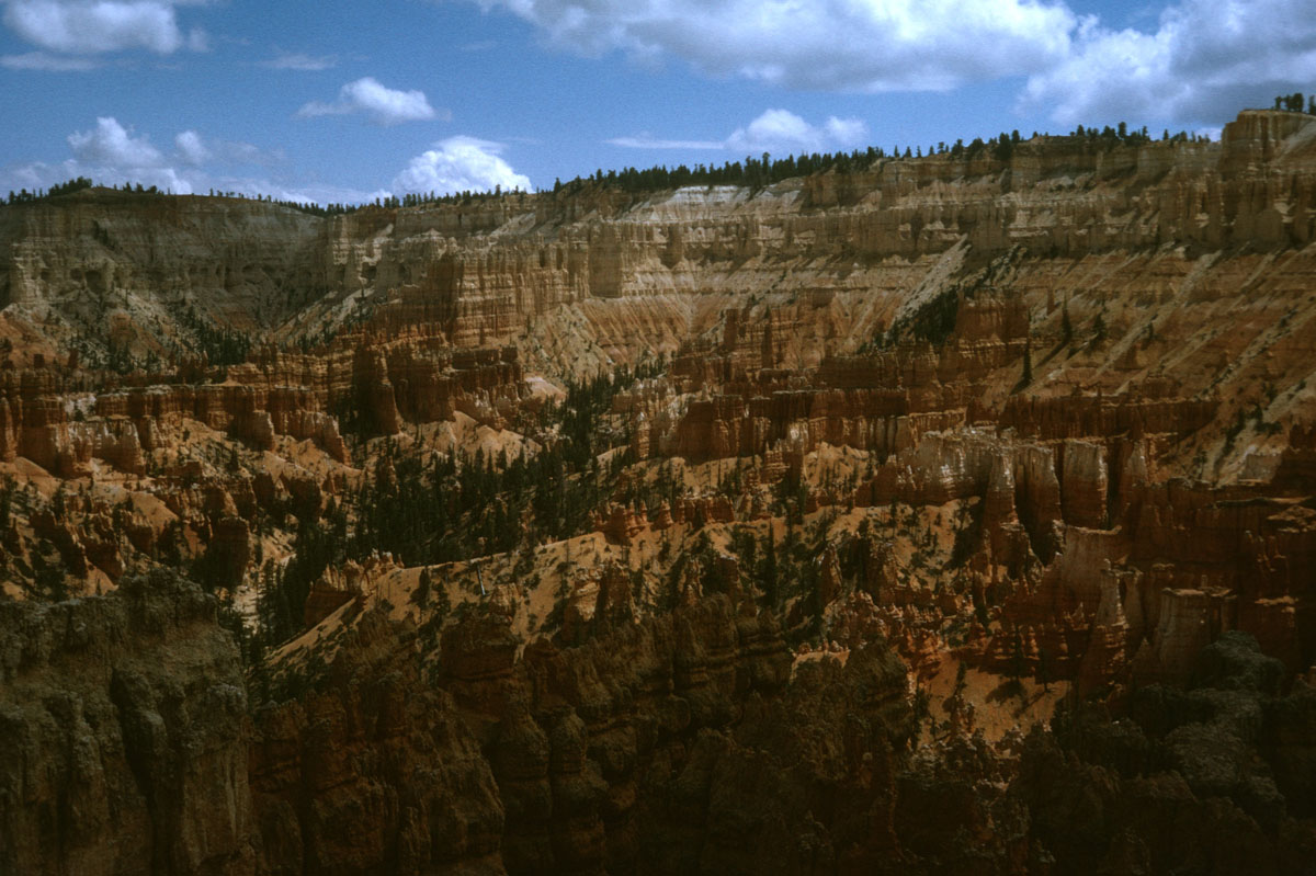 92 Sunset Pt Bryce NP