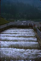 13 Bonneulle Fish Ladder