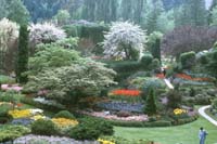 35 Butchart Gradens Victoria