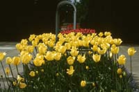 36 Butchart Gardenen Victoria