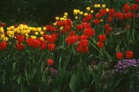 37 Butchard Gard Victoria