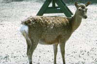 47 Alberta Game Farm