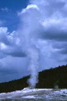 72 Old Faithfull Yellowstone