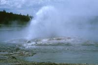 75 Steady Geyser Yellowstone