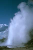 80 Grand Geyser Yellowstone