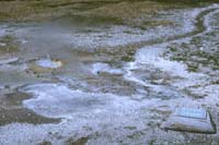 81 Aurum Geyser Yellowstone