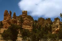 87 Red Canyon Dixie Nat For