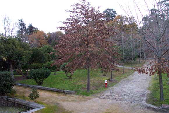 170 Guimaraes Hotel DCP_1973