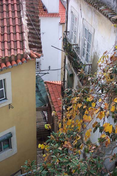 209 Lisbon Alfma DCP_2042