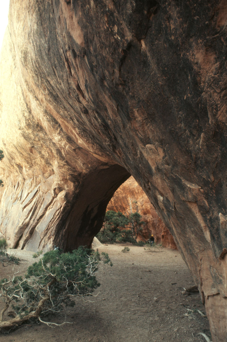 Navajo Arch Arches Nat Pk