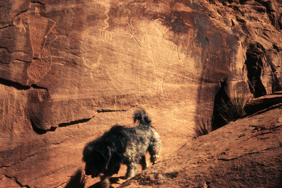 Sego Canyon Petoglyphs 2