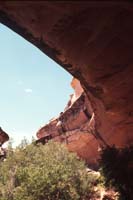 Katchina Bridge Natural Bridges 1