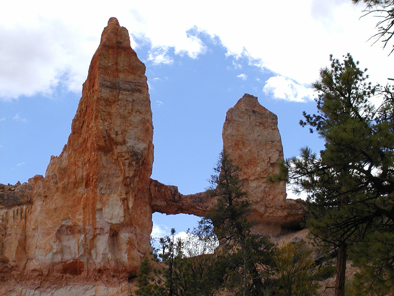 1400 Bryce Cyn  P9160026