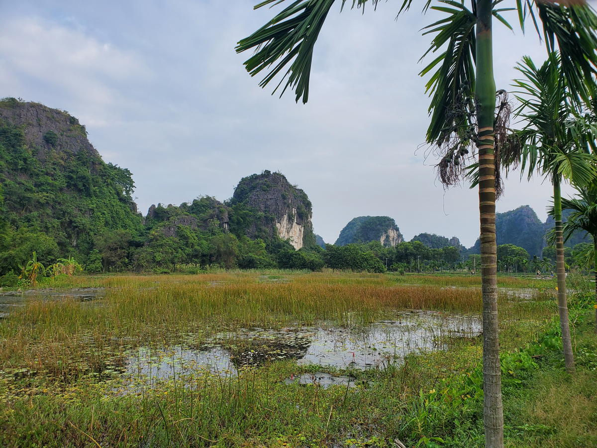 071 Walk to Thai Vi Temple