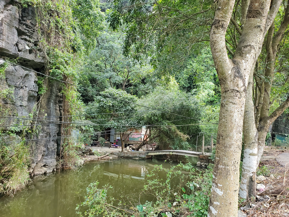 072 Walk to Thai Vi Temple