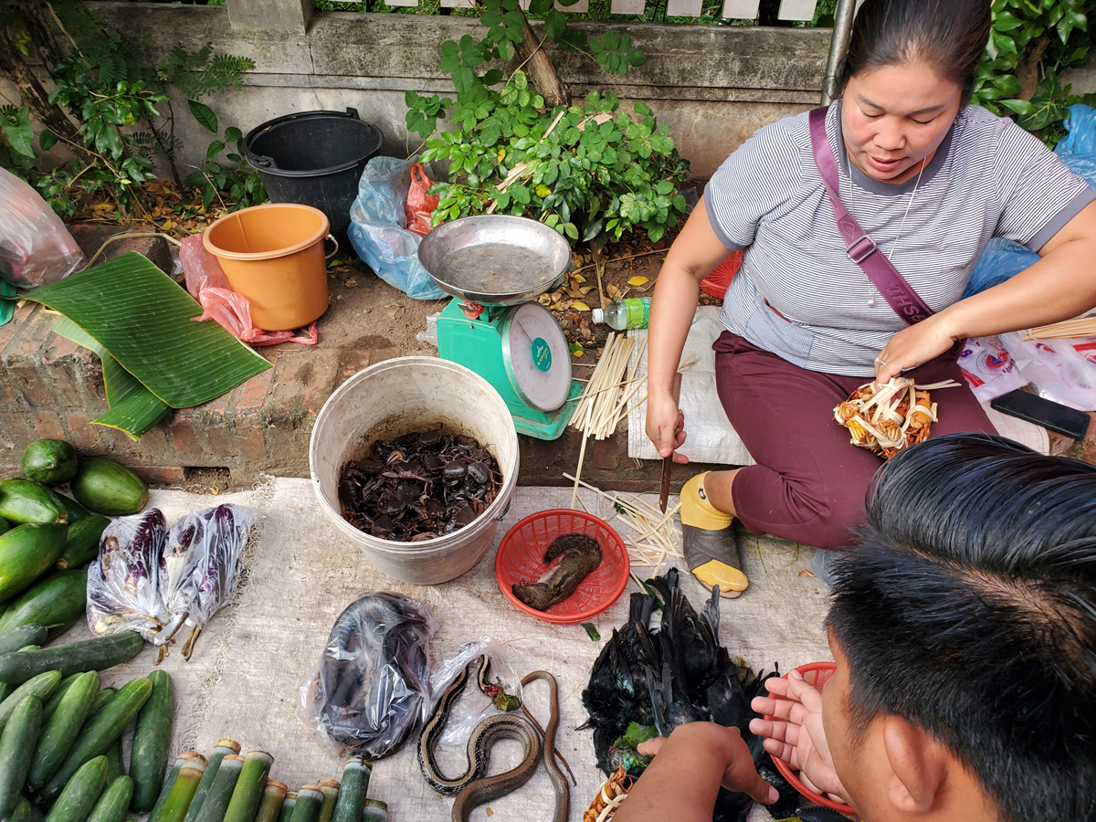 228 Luang Prabang Market