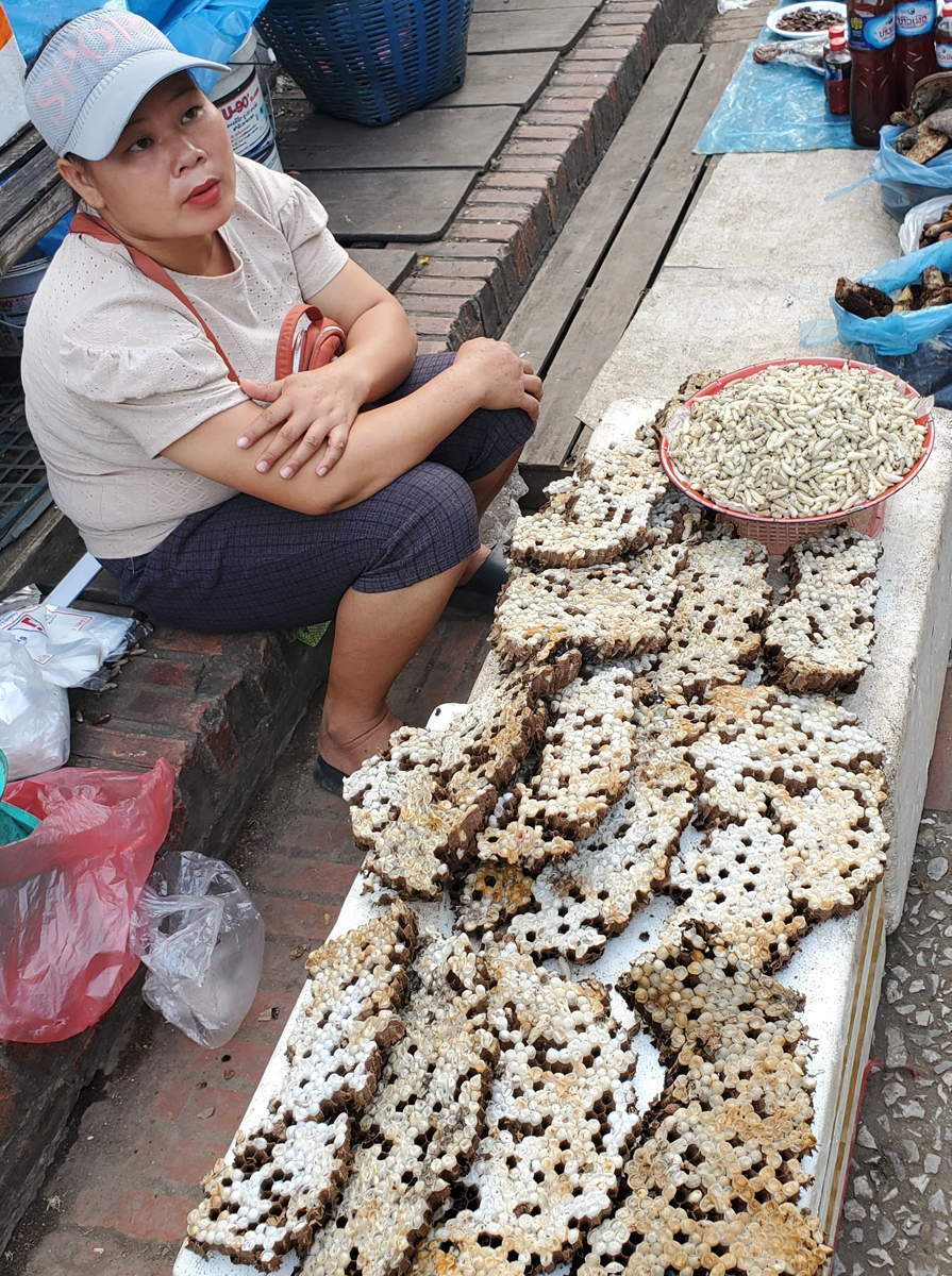 231 Luang Prabang Market