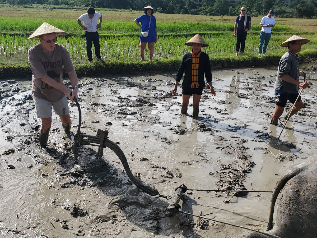 269 Laotian Rice Farm