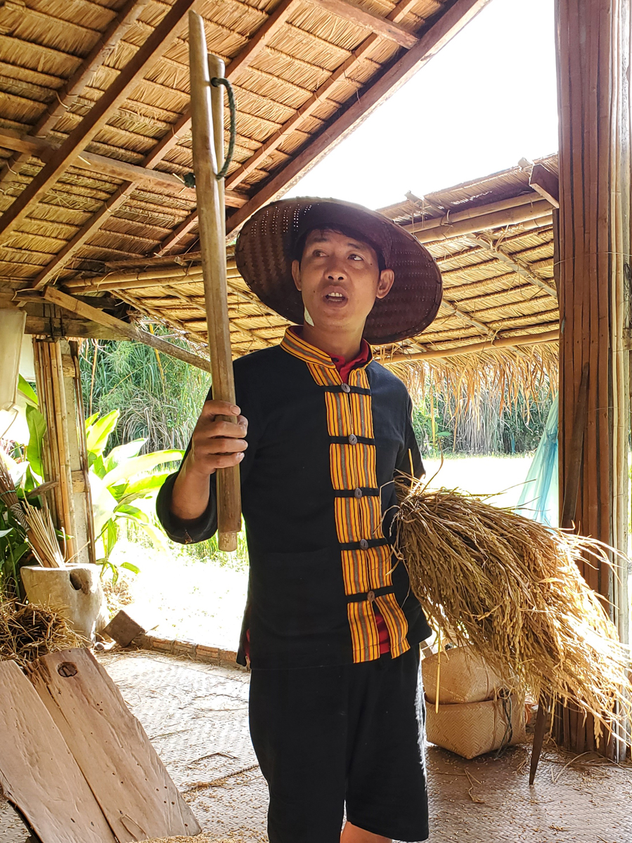 273 Laotian Rice Farm