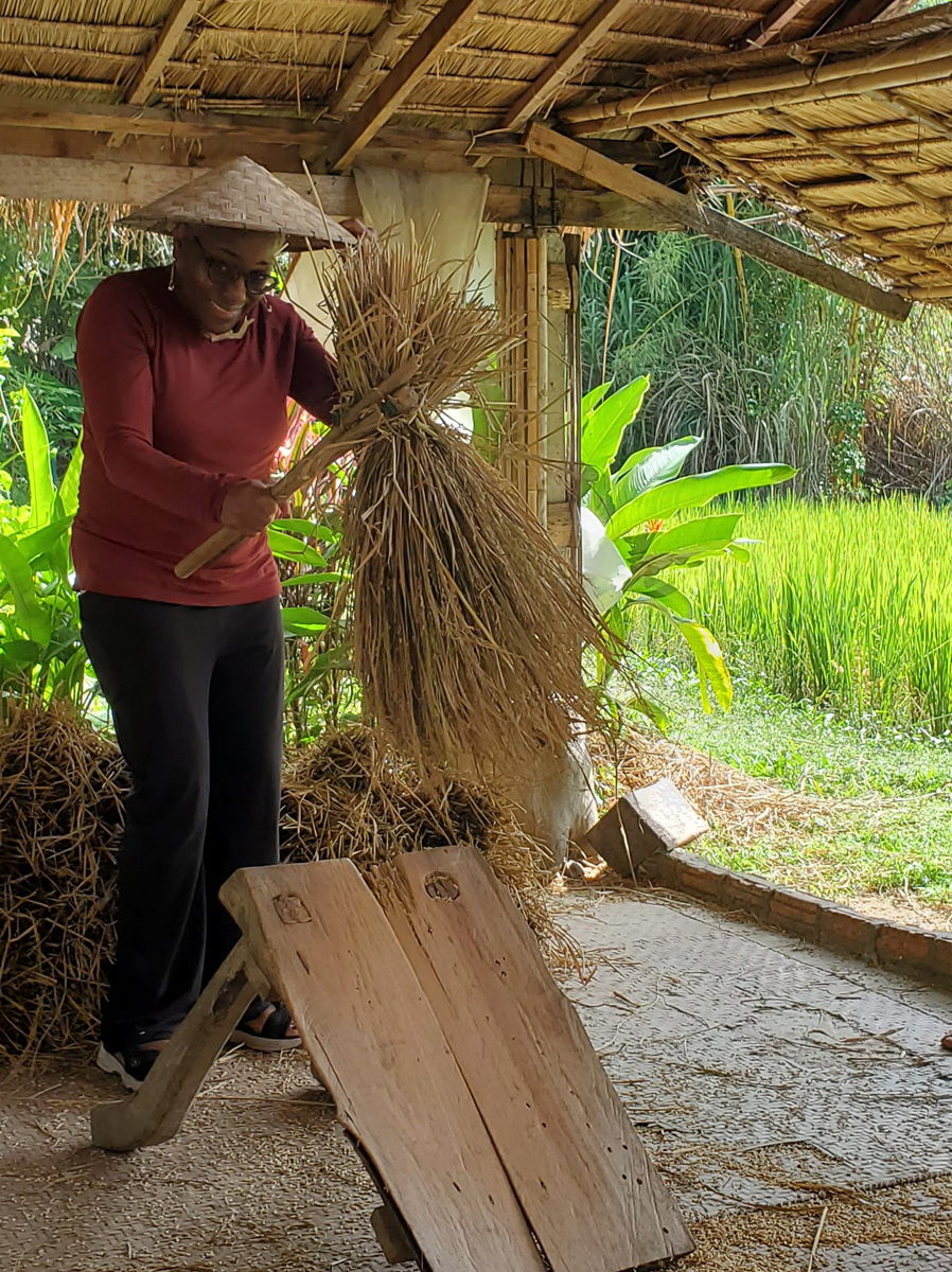 275 Laotian Rice Farm